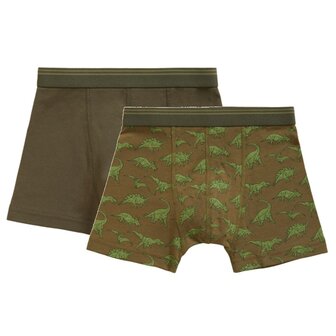Ten Cate Boys Goodz Shorts 2-Pack Dino Green 50971 | 26723