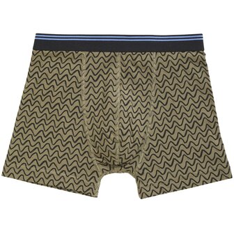 Ten Cate Boys Goodz Shorts 2-Pack Wave Groen 60072-5099 | 28916