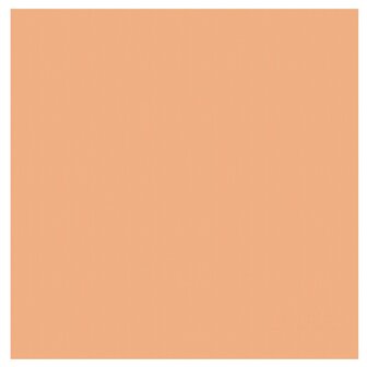 DDDDD Theedoek Logo Pastel Peach | 30101