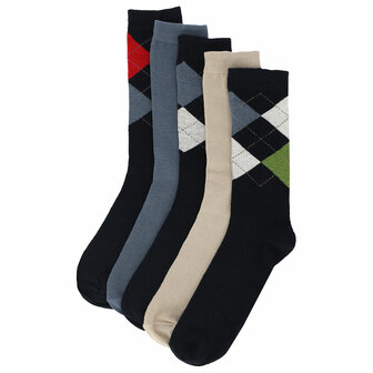 Apollo Heren Sokken 5-Pack Multi Navy 120421010 | 32704