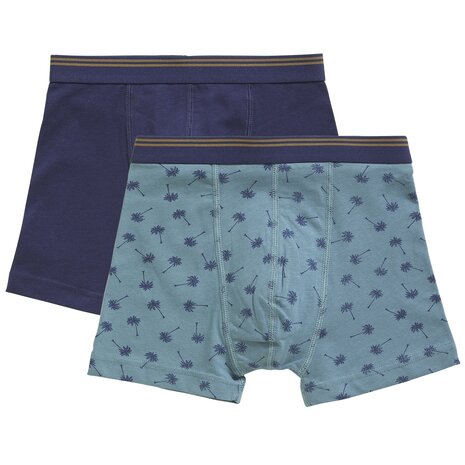 Ten Cate Boys Goodz Shorts 2-Pack Palm Blauw 60072-5096 | 28917